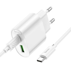 Мережевий зарядний пристрій Hoco C109A USB + Type-C та кабель Type-C to Type-C 20W