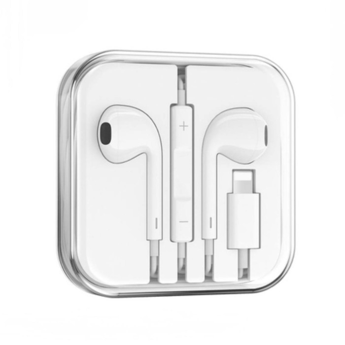 Проводные наушники Denmen DR10 Lightning (Белые)